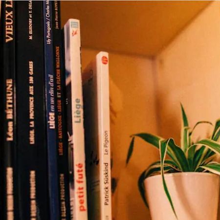 Le Pigeonnier - Tinyhouse En Plein Centre De Liege 호텔 외부 사진